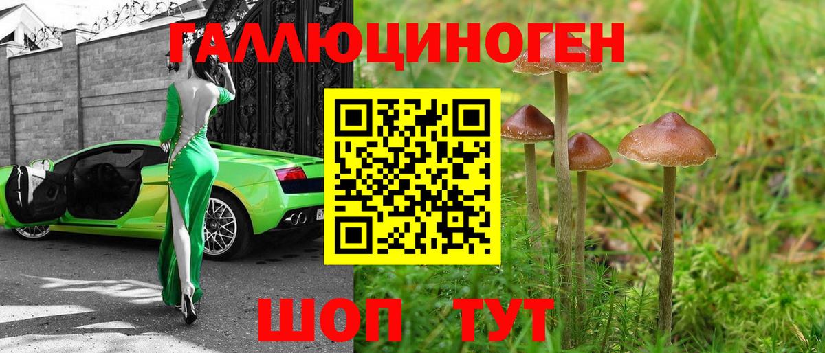 Псилоцибиновые грибы мицелий Джанкой