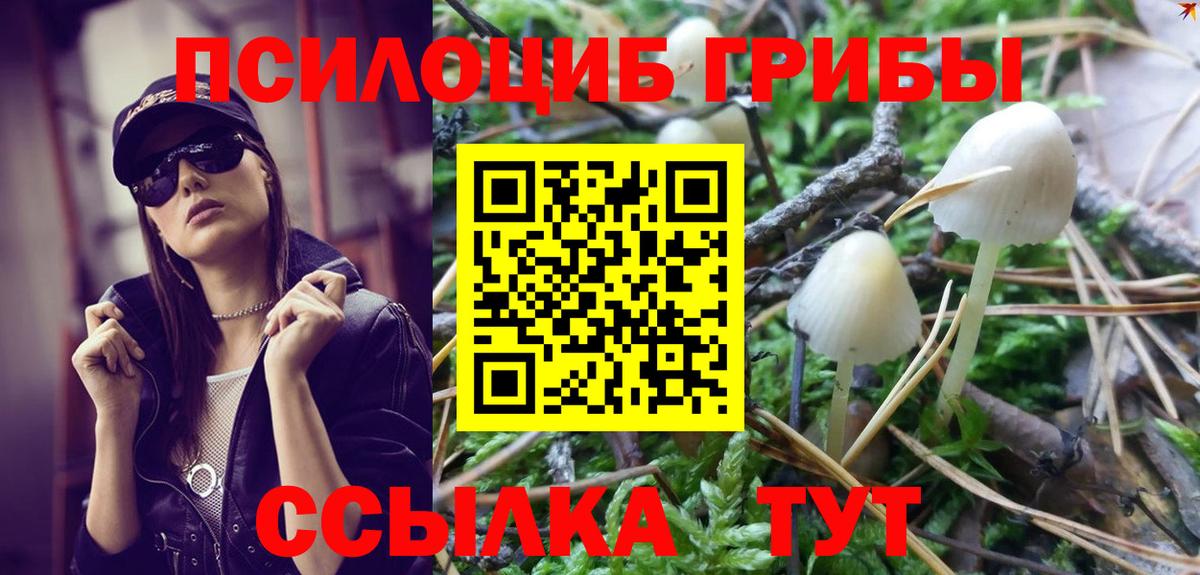 Джанкой  дарнет шоп  Галлюциногенные грибы прущие грибы  Вход с VPN  Галлюциногенные грибы Cubensis 